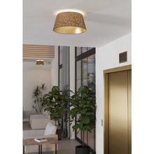 Učitajte sliku u preglednik galerije, CASTUERA 390291