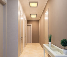 Učitajte sliku u preglednik galerije, CARLA 41589D1 GLOBO