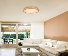 Učitajte sliku u preglednik galerije, RAINER 41745-48 GLOBO