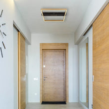 Učitajte sliku u preglednik galerije, LUFFY 48461-21 GLOBO