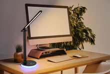 Učitajte sliku u preglednik galerije, GERALDO 58445B GLOBO STONA LAMPA