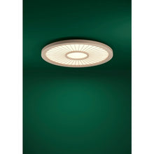 Učitajte sliku u preglednik galerije, DEHESA 390296