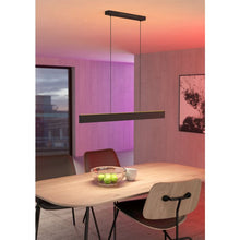 Učitajte sliku u preglednik galerije, ANDREAS-Z 900878 PAMETNA RASVETA/VISILICA