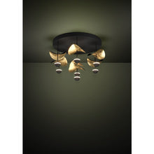 Učitajte sliku u preglednik galerije, DRACERA 390411