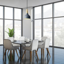 Učitajte sliku u preglednik galerije, DRUSILLA 72135 RABALUX VISECA LAMPA