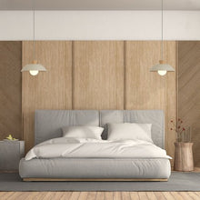 Učitajte sliku u preglednik galerije, GOLNAR 72230 RABALUX VISECA LAMPA