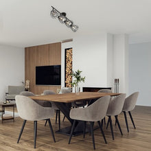 Učitajte sliku u preglednik galerije, EMERENCIA 73070 RABALUX SPOT LAMPA