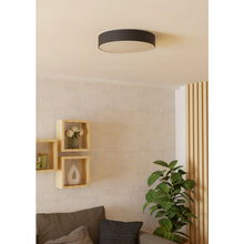 Učitajte sliku u preglednik galerije, GALLIZZI-Z 901903 PAMETNA RASVETA/PLAFONJERA