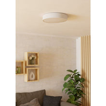 Učitajte sliku u preglednik galerije, GALLIZZI 901906-Z PAMETNA RASVETA/PLAFONJERA