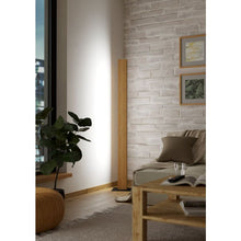 Učitajte sliku u preglednik galerije, ANCHORENA-Z 900392 PAMETNA RASVETA/PODNA LAMPA