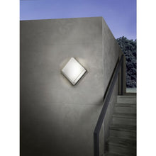 Učitajte sliku u preglednik galerije, INFESTO 1 94877