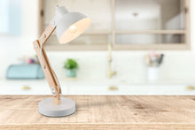 Učitajte sliku u preglednik galerije, TONGARIRO 21502 GLOBO STONA LAMPA
