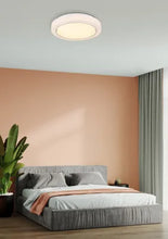 Učitajte sliku u preglednik galerije, LIAMI 41265 GLOBO
