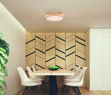 Učitajte sliku u preglednik galerije, RAINER 41745-24 GLOBO
