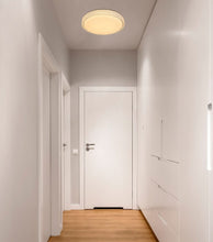 Učitajte sliku u preglednik galerije, OVI 41749-22 GLOBO
