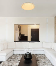 Učitajte sliku u preglednik galerije, OVI 41749-40 GLOBO
