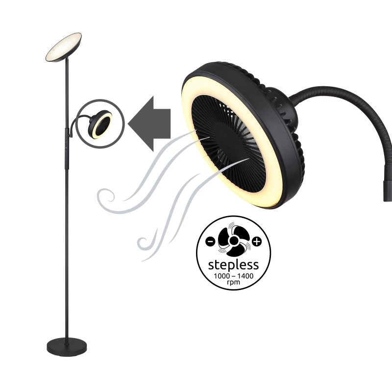 DAVYD 58008 GLOBO