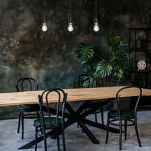 Učitajte sliku u preglednik galerije, FRAN 72242 RABALUX VISECA LAMPA
