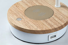 Učitajte sliku u preglednik galerije, MOSLEY 74001 RABALUX
