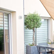 Učitajte sliku u preglednik galerije, BALIMO 7477 RABALUX
