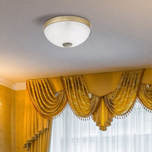 Učitajte sliku u preglednik galerije, ORCHIDEA 8558 RABALUX PLAFONJERA
