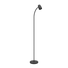 Učitajte sliku u preglednik galerije, CARLO 902172 PODNA LAMPA
