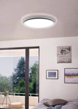 Učitajte sliku u preglednik galerije, LAZARAS 99841
